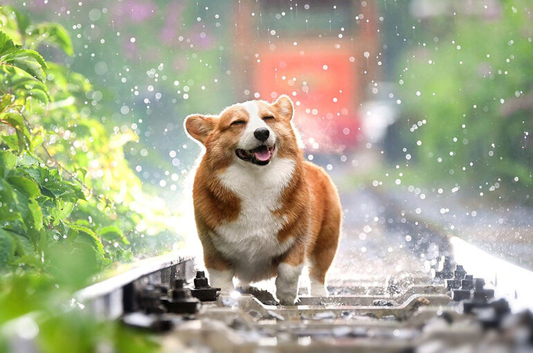 018